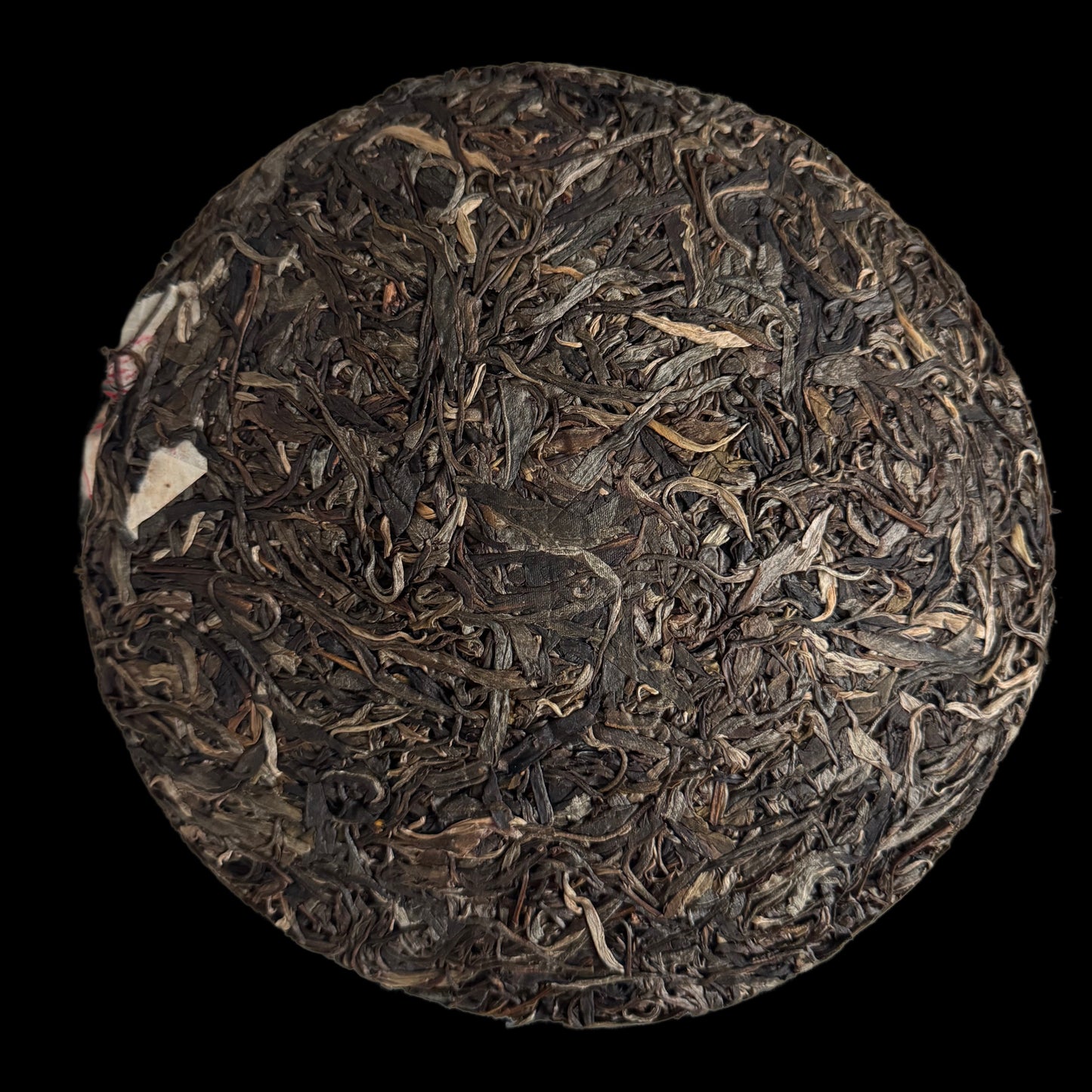 2023 Baifu Xing Tian Gong