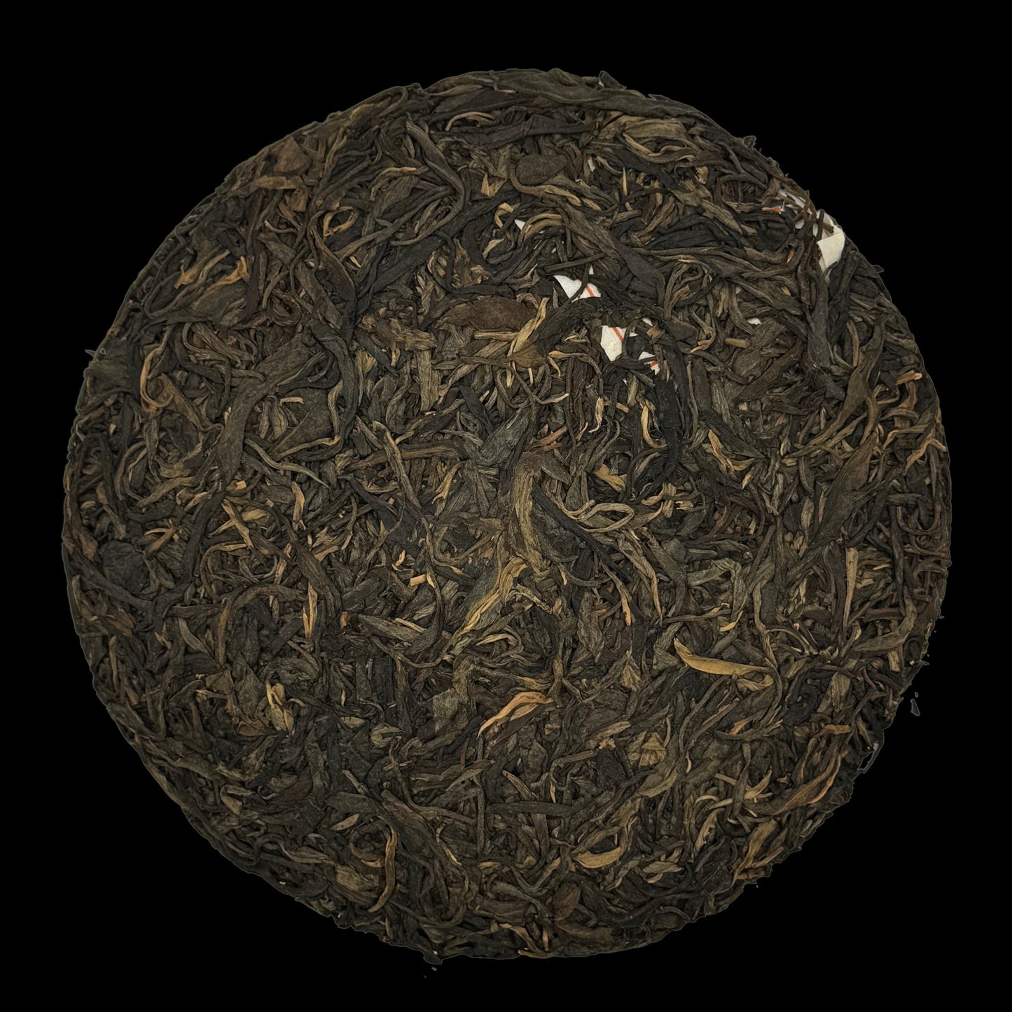 2013 Chen Yuan Hao Cang Le - Youle
