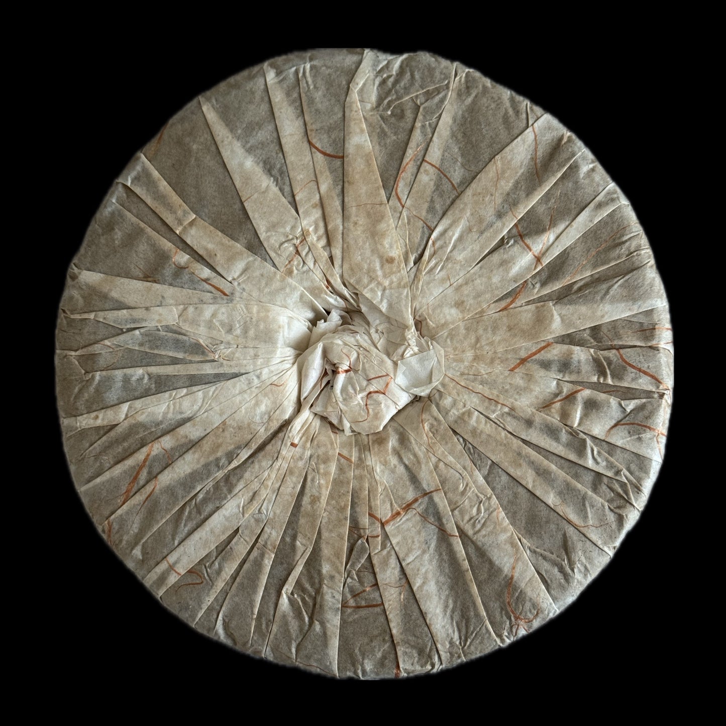 2008 Auspicious Lao Banzhang