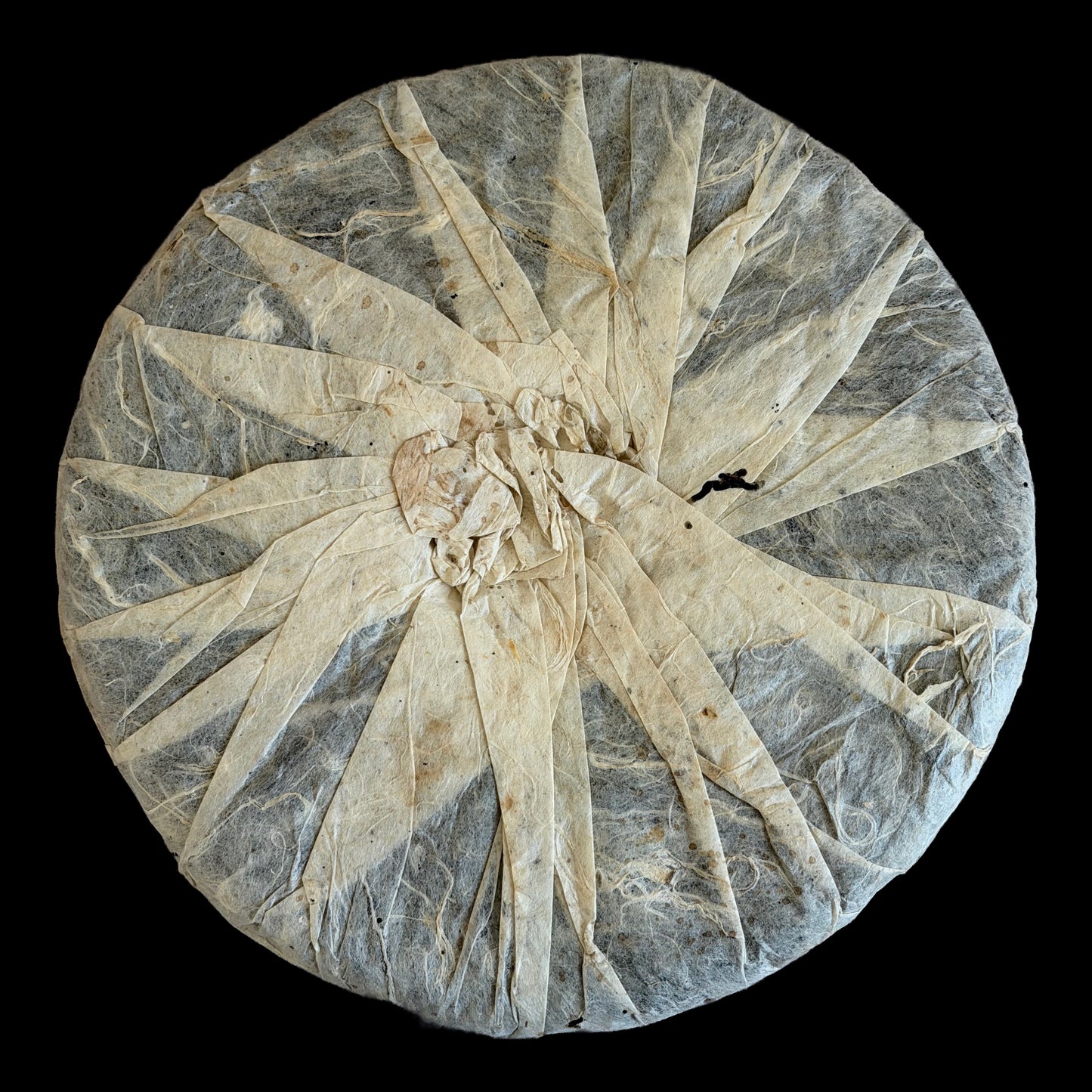 2006 Bi Yun Hao Yiwu