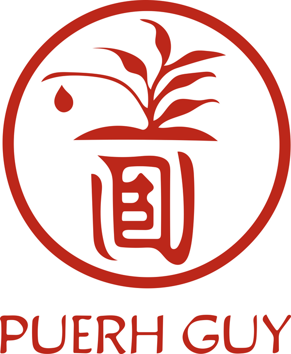 Puerh Guy
