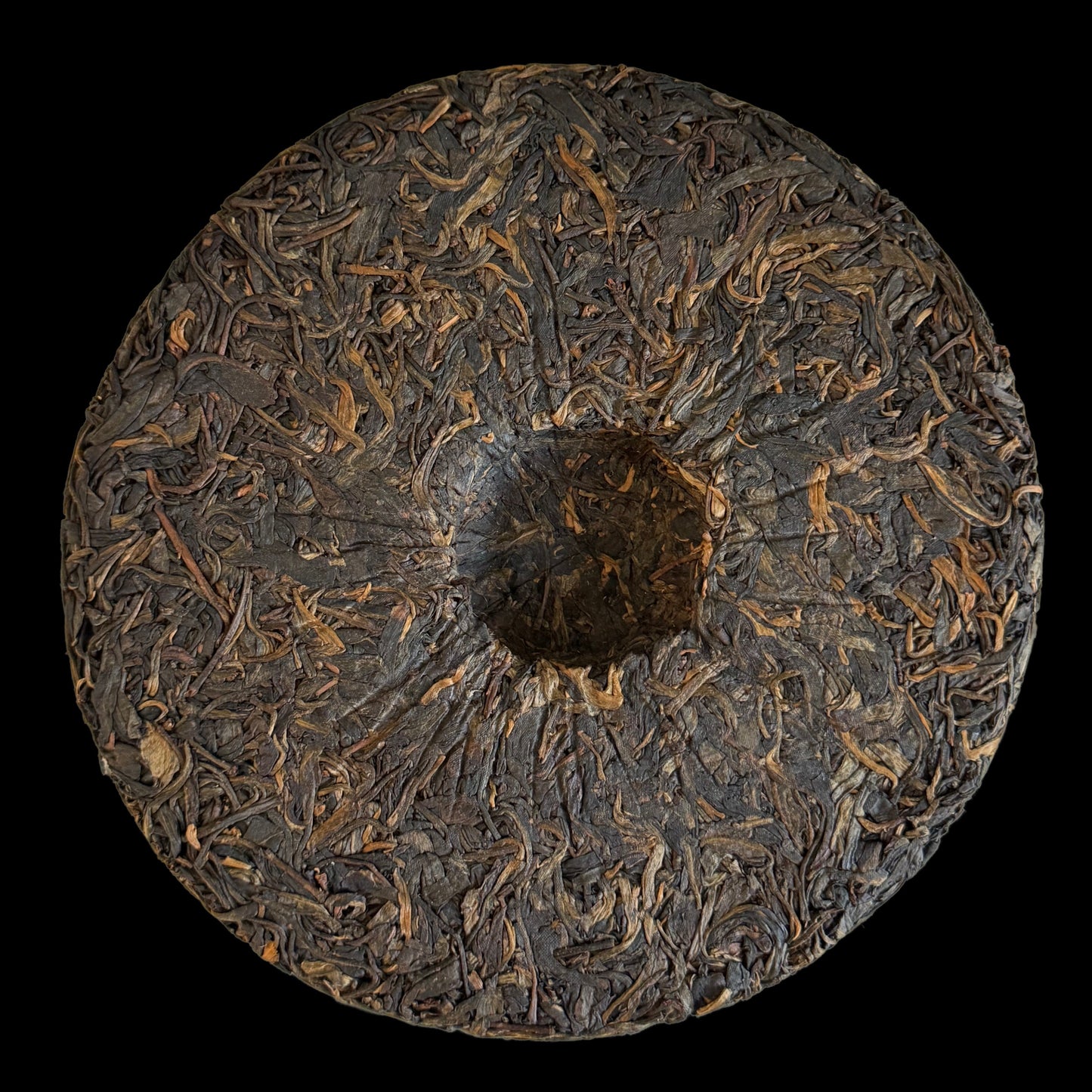 2010 Yang Qing Hao Shenyun Tiancheng