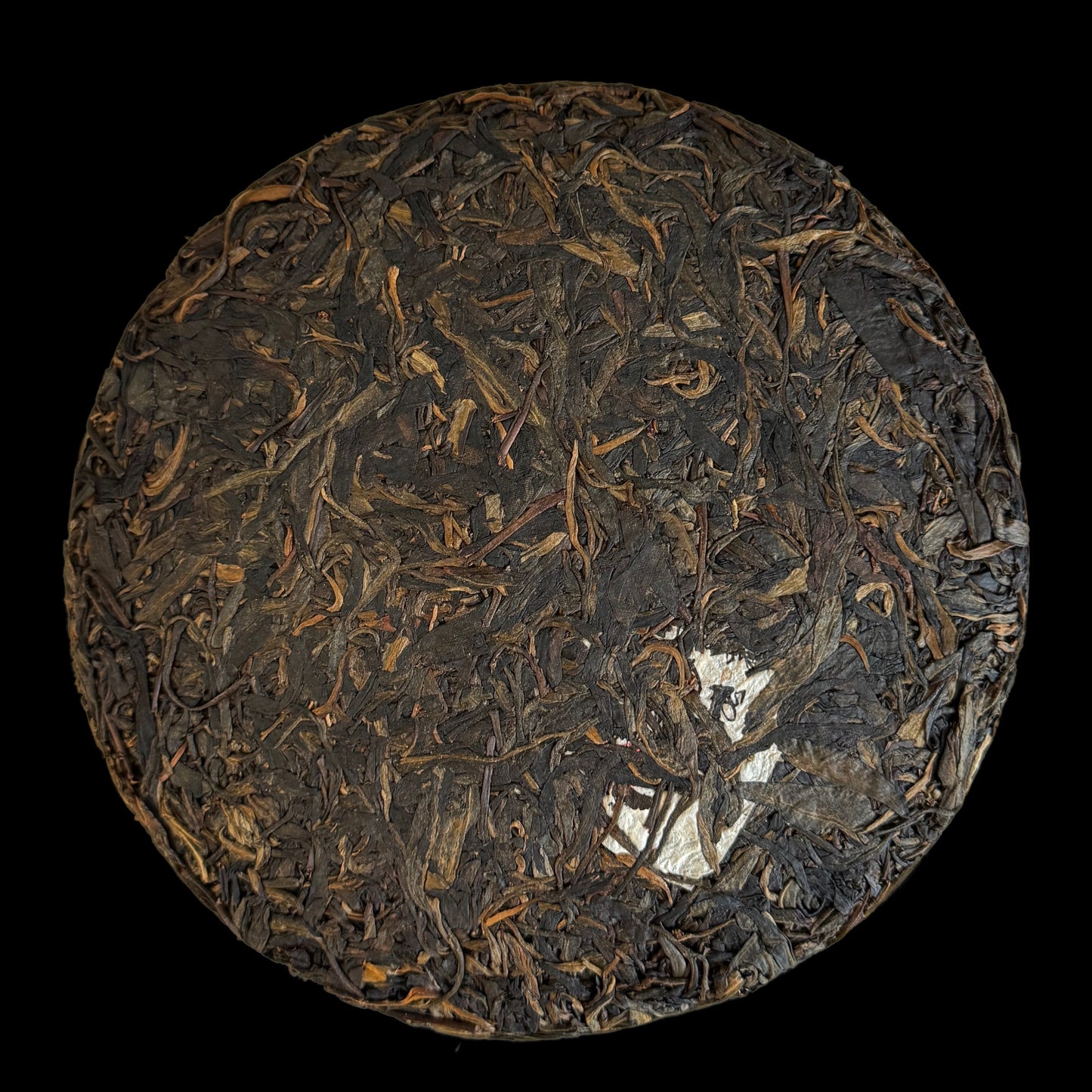 2010 Yang Qing Hao Shenyun Tiancheng