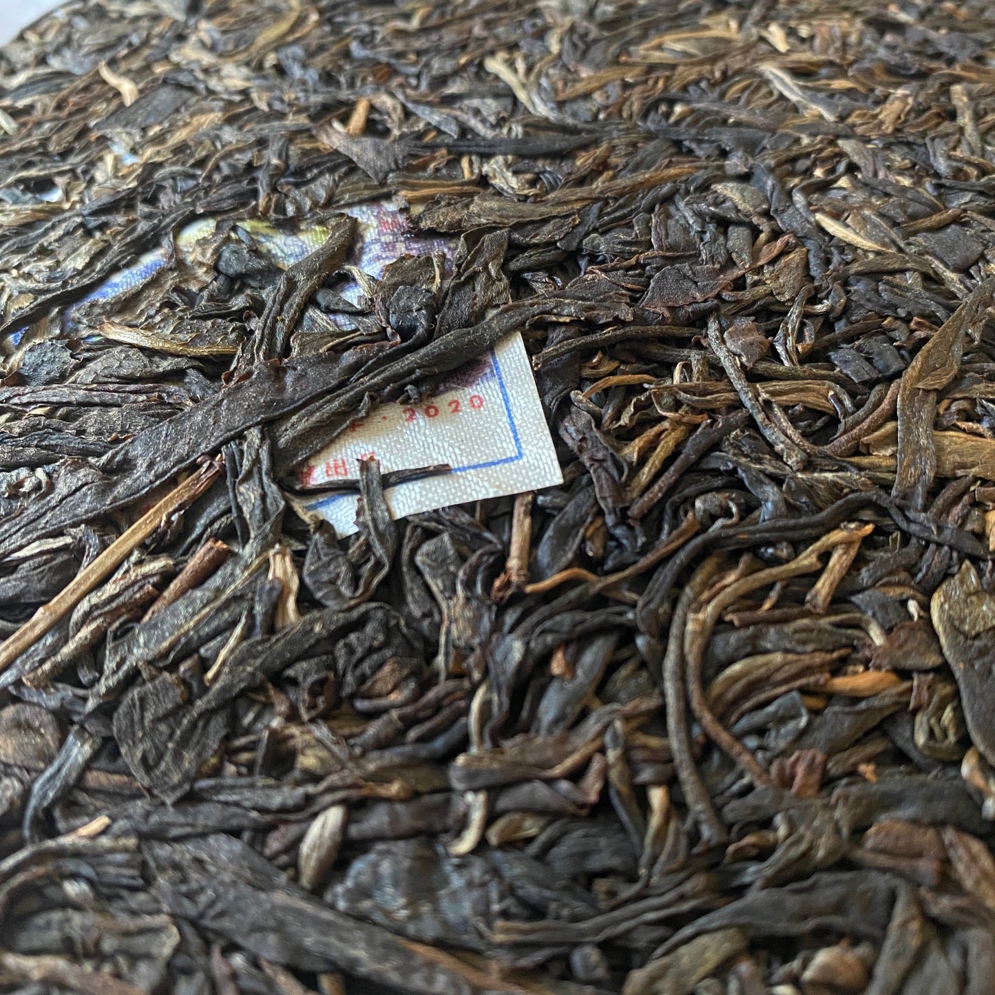 2020 Chen Yuan Hao Yun Tian Hao