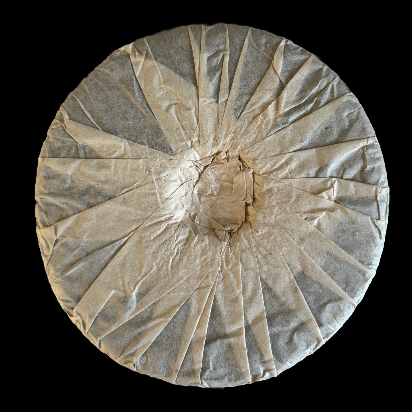 2010 Yang Qing Hao Shenyun Tiancheng