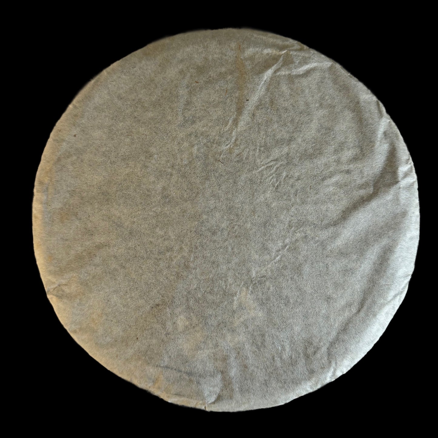 2010 Yang Qing Hao Shenyun Tiancheng