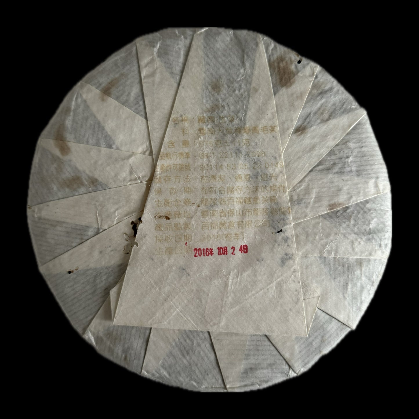 2016 Baifuzangcang Cangshou Millennium Tree