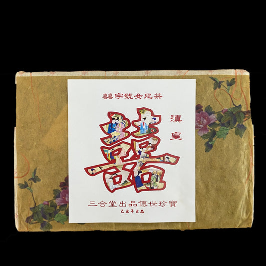 2009 Xizihao Dianhuang Brick