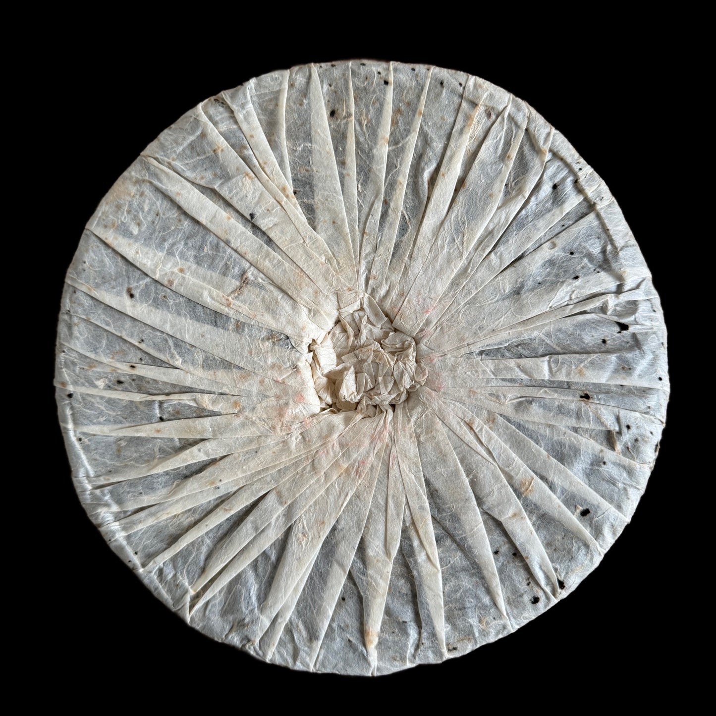 2006 Chen Yuan Hao Yiwu Zhengshan