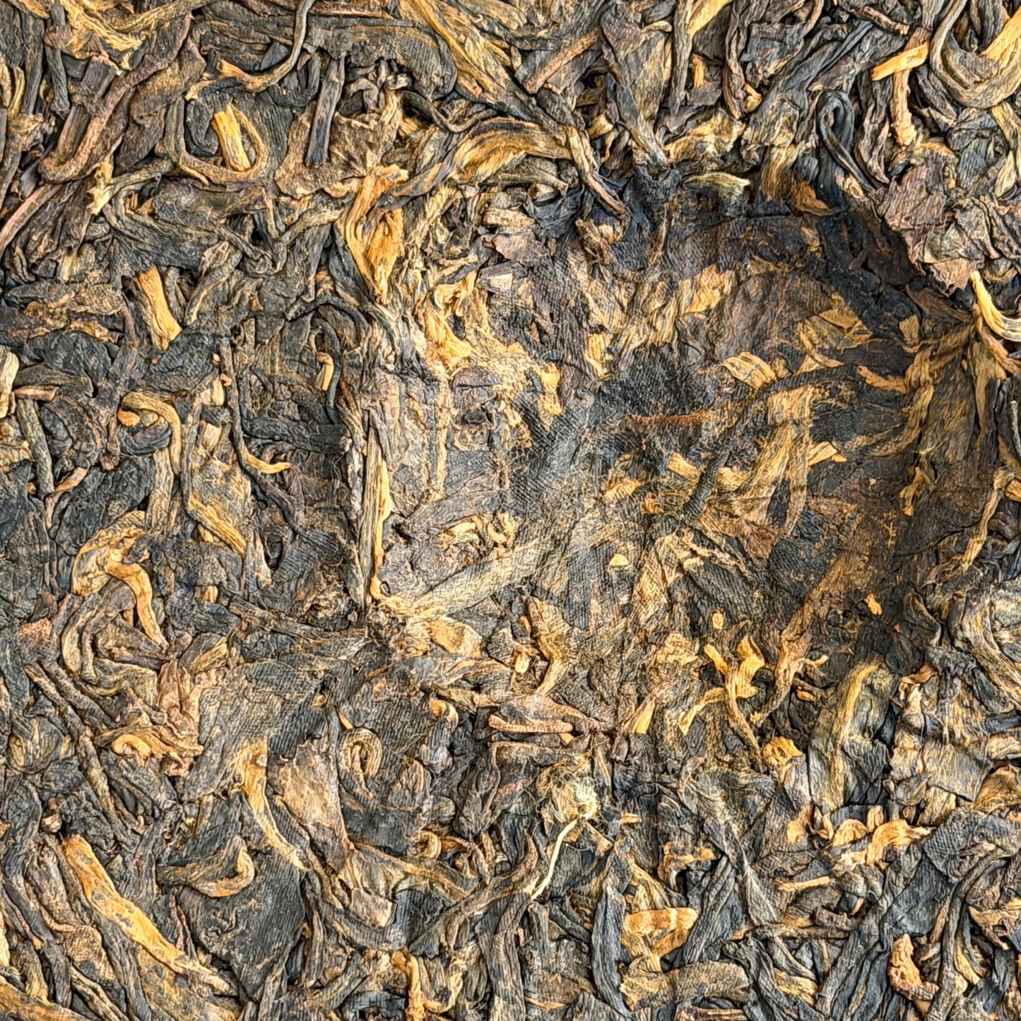 2002 Chen Yuan Hao Mangzhi