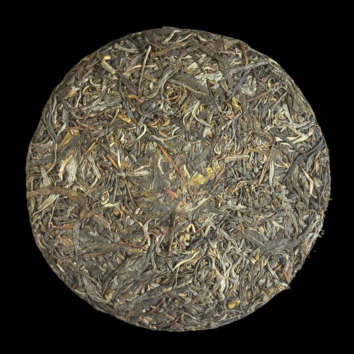 2025 Xizihao 20th Anniversary