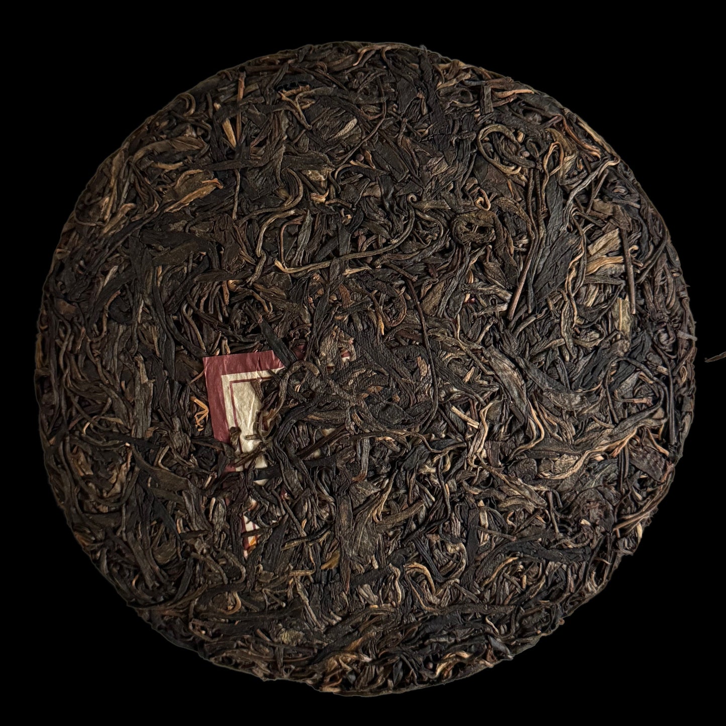 2012 Xizihao Reappearance